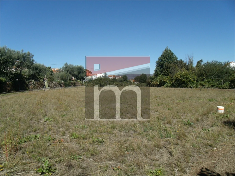 Terreno Agricola ou Rústico para Venda em Nespereira Foto 6