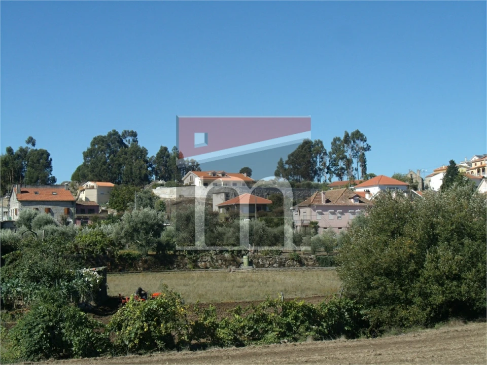 Terreno Agricola ou Rústico para Venda em Nespereira Foto 2