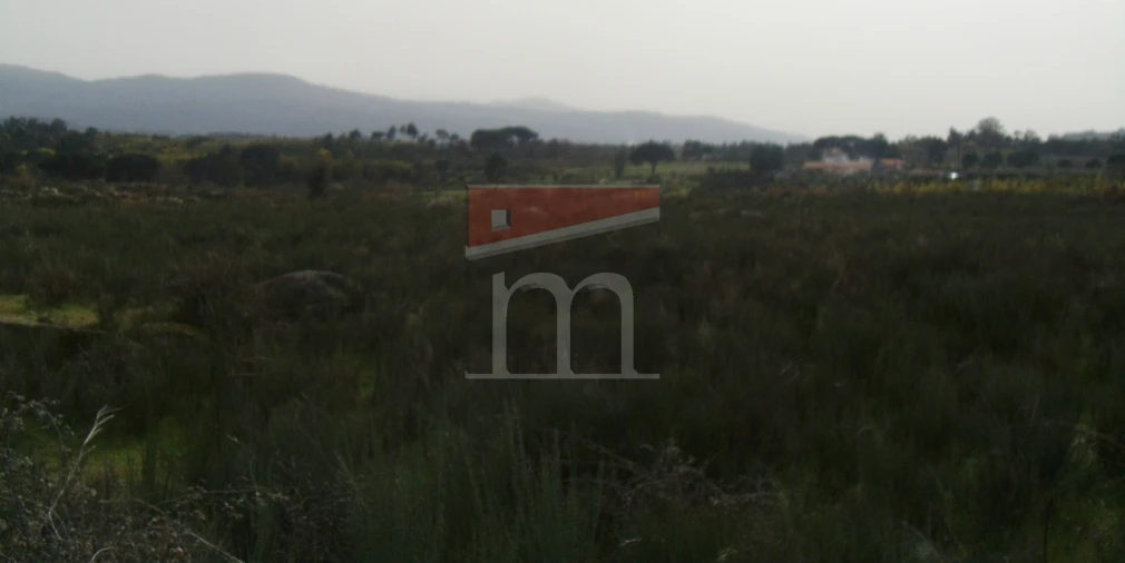 Terreno para Venda em Rio Torto e Lagarinhos Foto 5