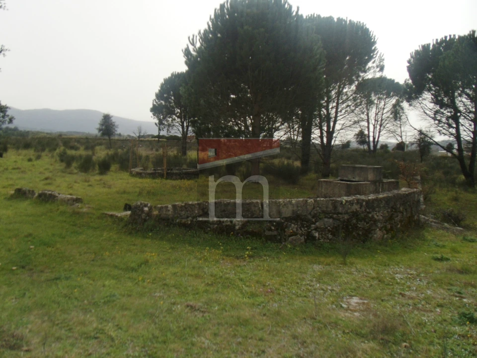 Quinta T0 para Venda em Rio Torto e Lagarinhos Foto 3