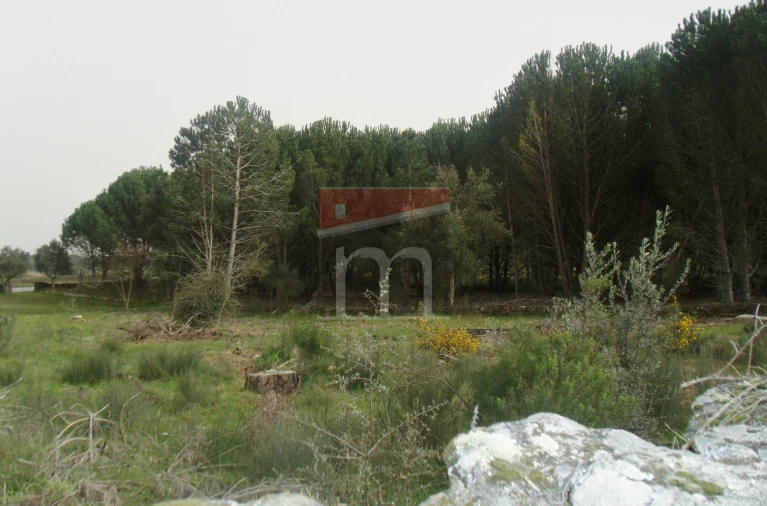 Quinta T0 para Venda em Rio Torto e Lagarinhos Foto 8