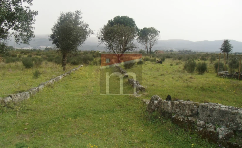 Quinta T0 para Venda em Rio Torto e Lagarinhos Foto 5