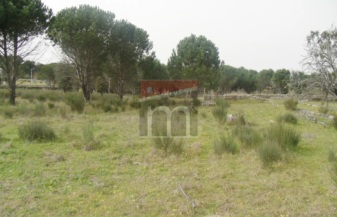 Quinta T0 para Venda em Rio Torto e Lagarinhos Foto 7