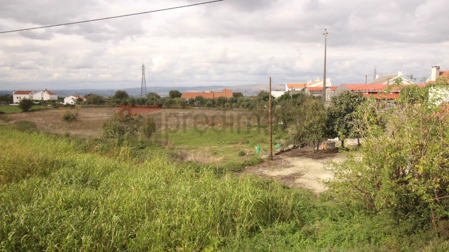 Quinta T4 para Venda em Gouveia (São Pedro e São Julião) Foto 12