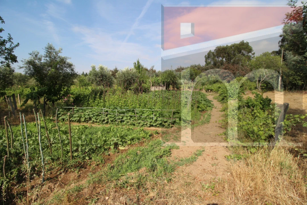 Terreno Agricola ou Rústico para Venda em Moimenta da Serra e Vinhó Foto 2