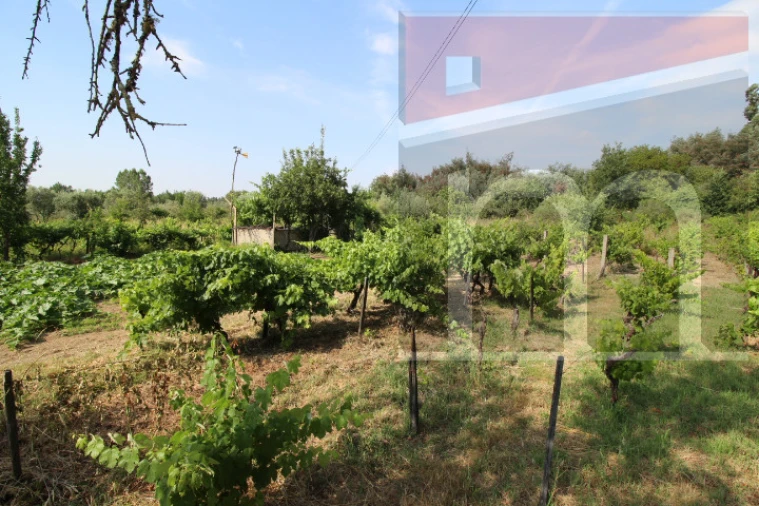 Terreno Agricola ou Rústico para Venda em Moimenta da Serra e Vinhó Foto 3