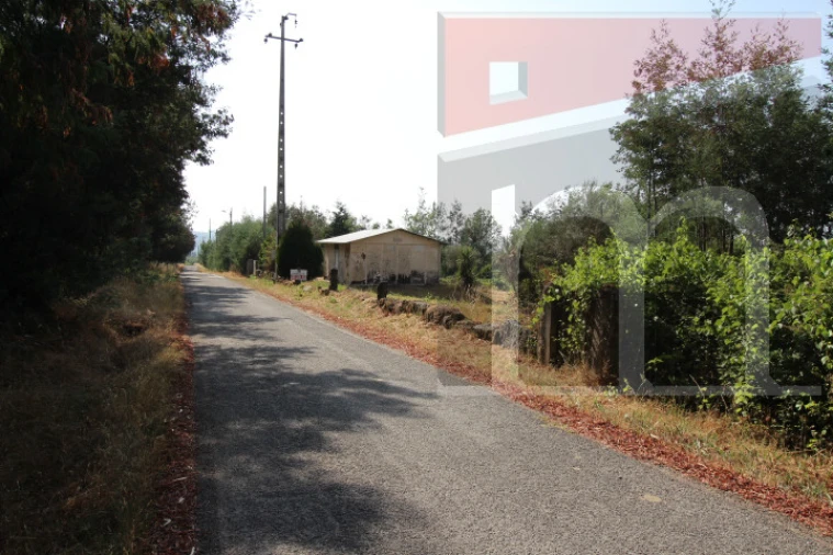 Terreno Agricola ou Rústico para Venda em Moimenta da Serra e Vinhó Foto 4