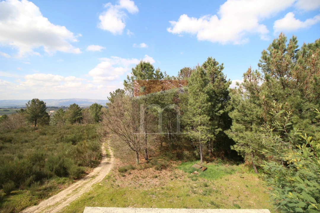 Terreno para Venda em São Paio Foto 8