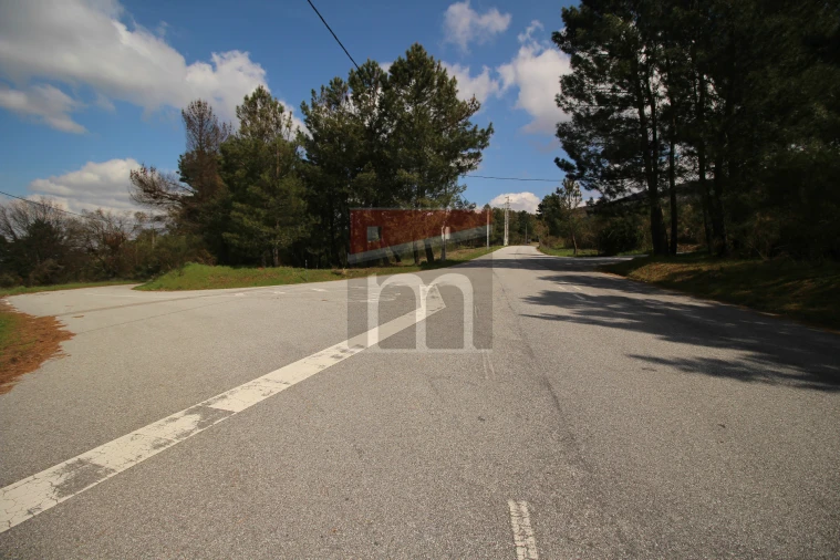 Terreno para Venda em São Paio Foto 12