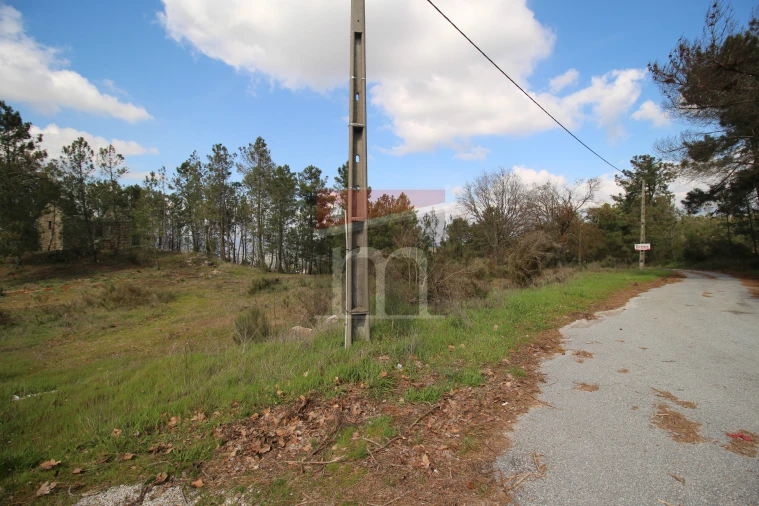 Terreno para Venda em São Paio Foto 15