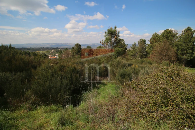 Terreno para Venda em São Paio Foto 6
