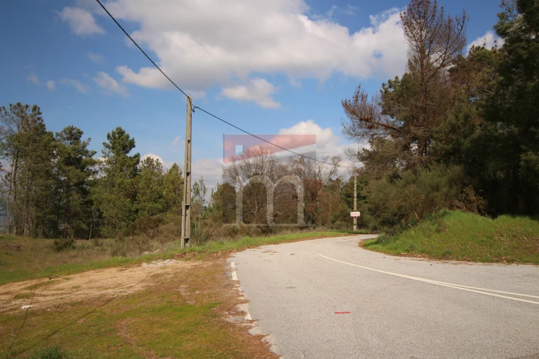 Terreno para Venda em São Paio Foto 13