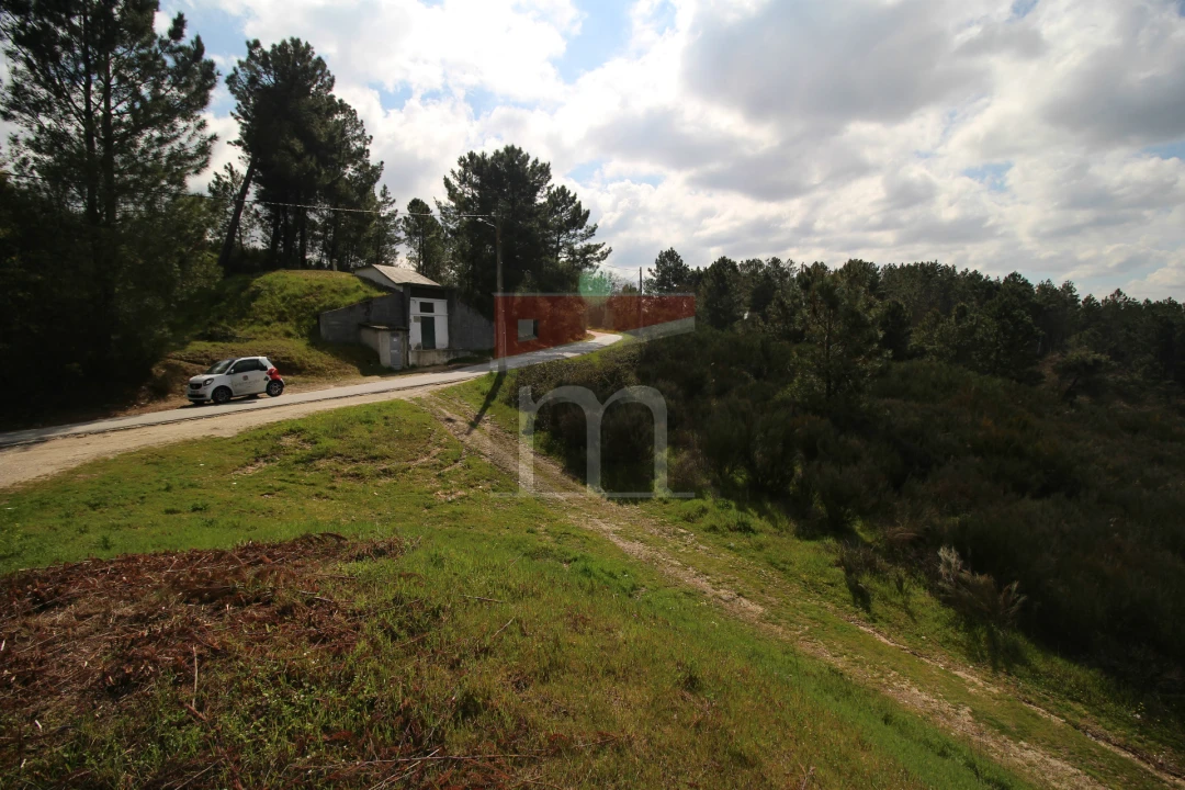 Terreno para Venda em São Paio Foto 9
