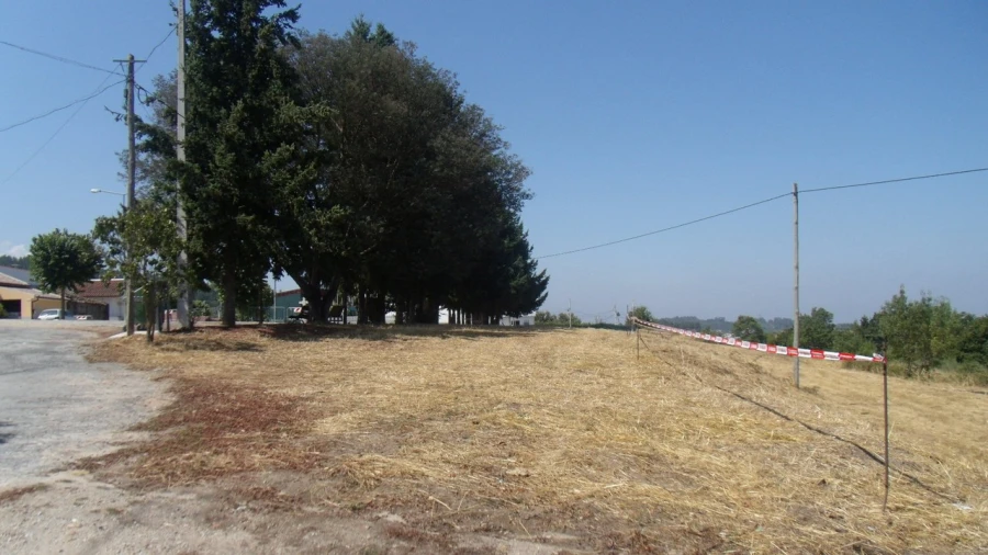 Terreno para Venda em São Paio Foto 5