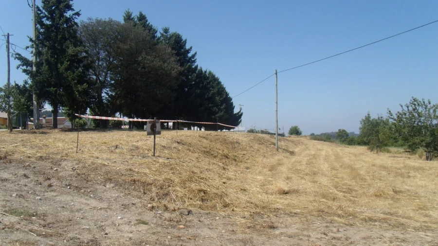 Terreno para Venda em São Paio Foto 4
