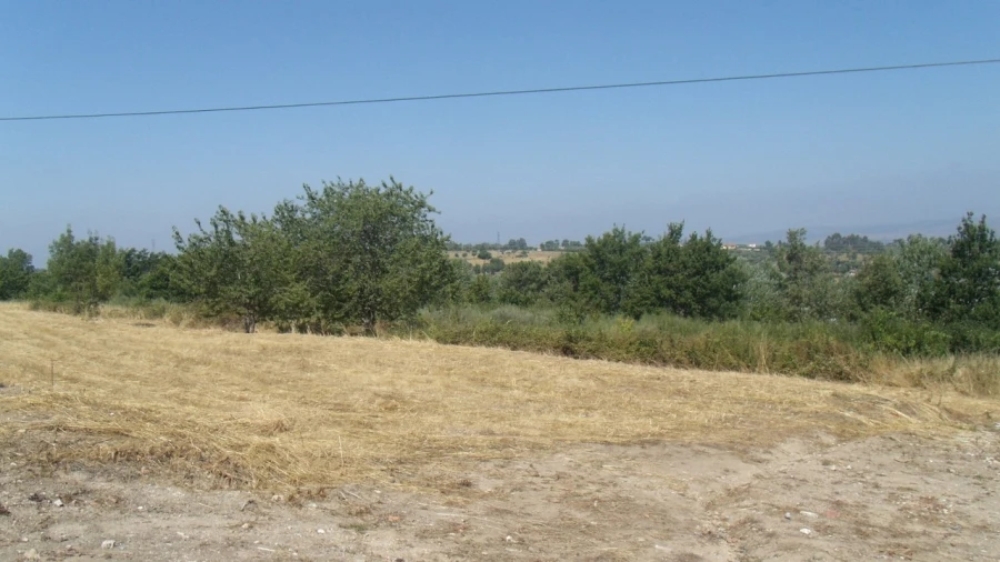 Terreno para Venda em São Paio Foto 3