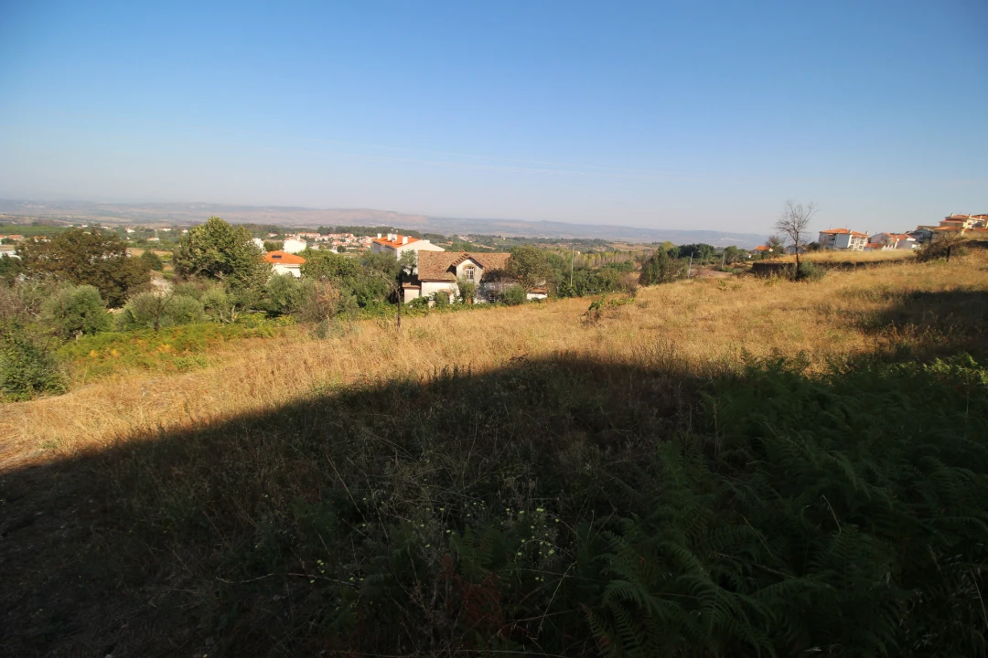 Quinta T5 para Venda em Gouveia (São Pedro e São Julião) Foto 12