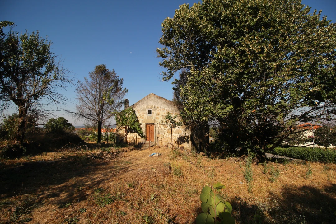 Quinta T5 para Venda em Gouveia (São Pedro e São Julião) Foto 6