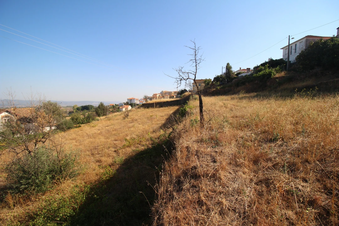 Quinta T5 para Venda em Gouveia (São Pedro e São Julião) Foto 13