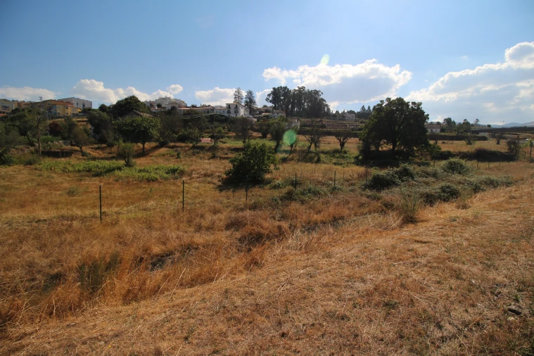 Quinta T5 para Venda em Gouveia (São Pedro e São Julião) Foto 18