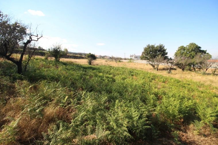 Quinta T5 para Venda em Gouveia (São Pedro e São Julião) Foto 4