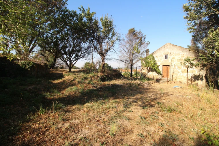 Quinta T5 para Venda em Gouveia (São Pedro e São Julião) Foto 7