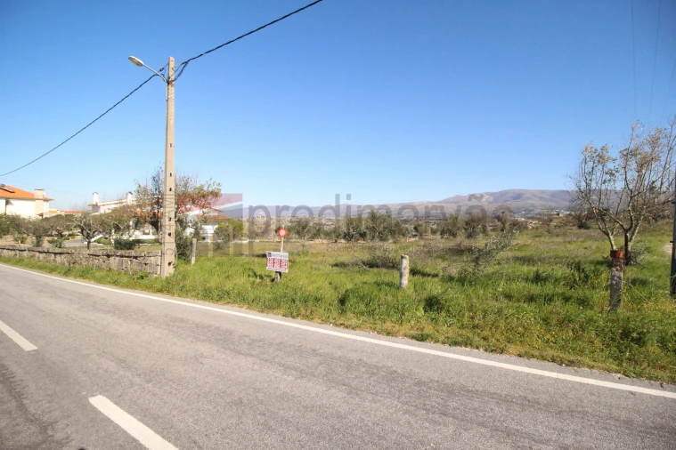 Terreno Agricola ou Rústico para Venda em Arcozelo Foto 2