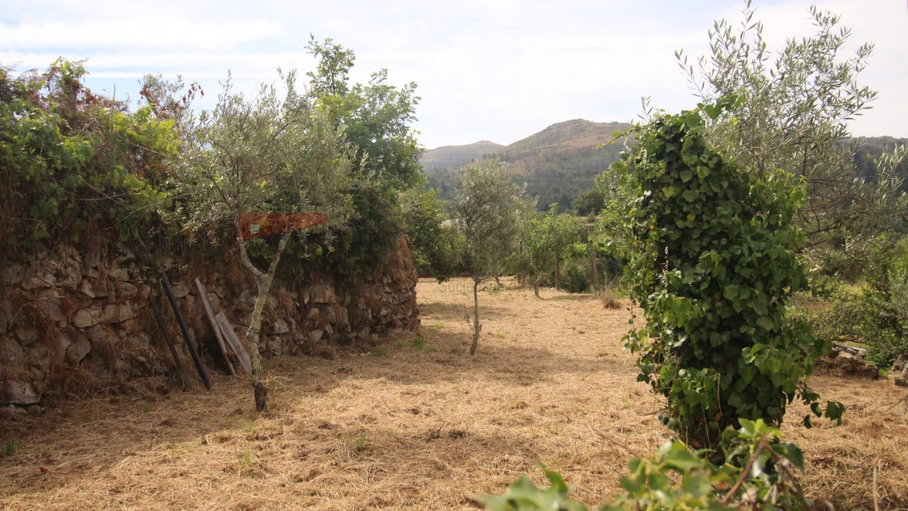 Terreno Agricola ou Rústico para Venda em Gouveia (São Pedro e São Julião) Foto 8