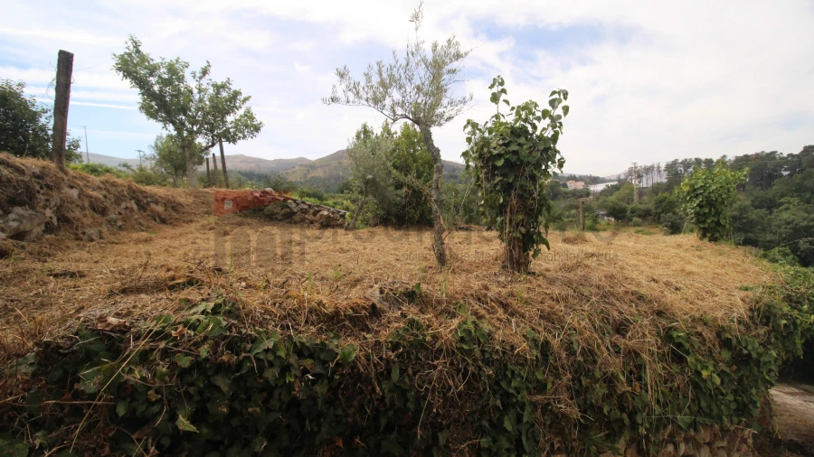 Terreno Agricola ou Rústico para Venda em Gouveia (São Pedro e São Julião) Foto 4