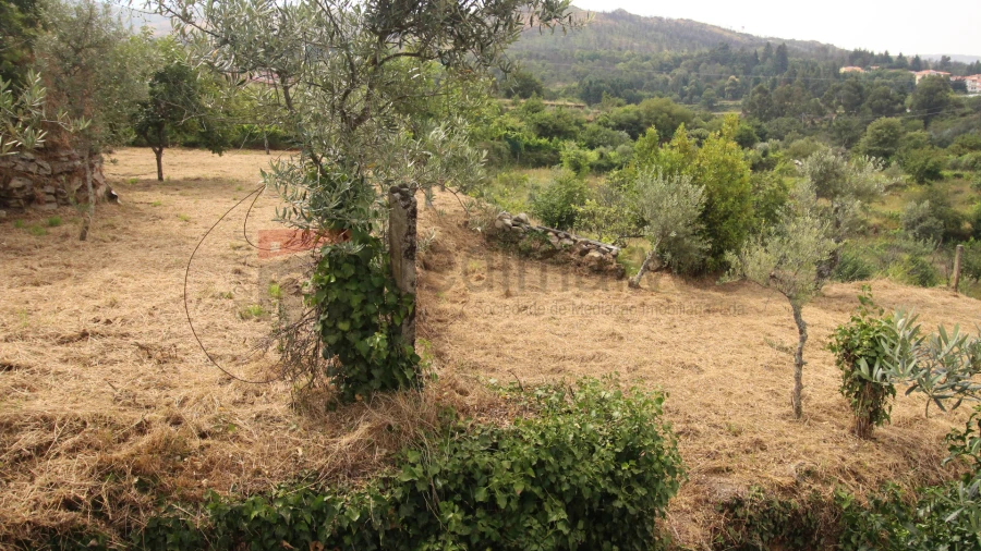 Terreno Agricola ou Rústico para Venda em Gouveia (São Pedro e São Julião) Foto 1
