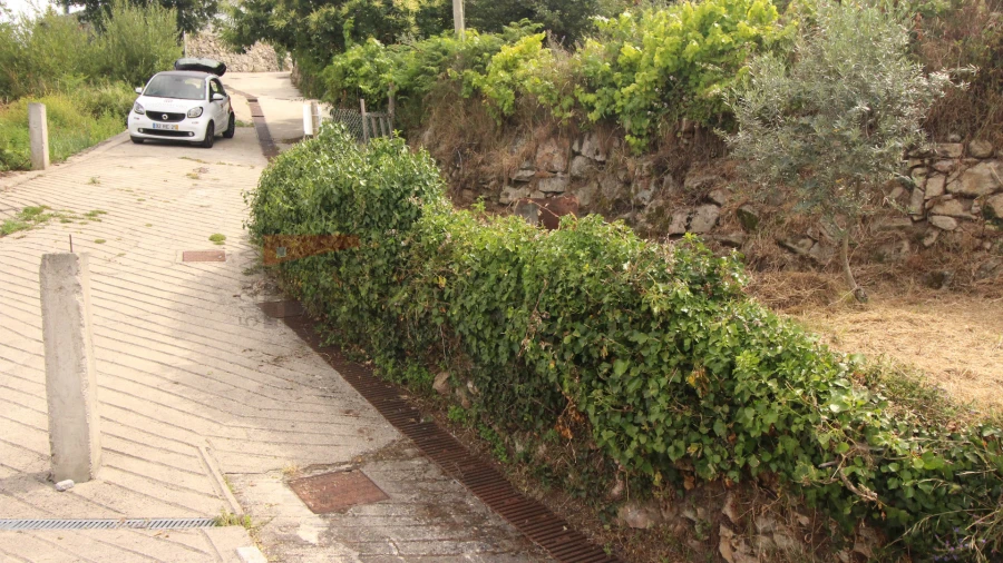 Terreno Agricola ou Rústico para Venda em Gouveia (São Pedro e São Julião) Foto 7