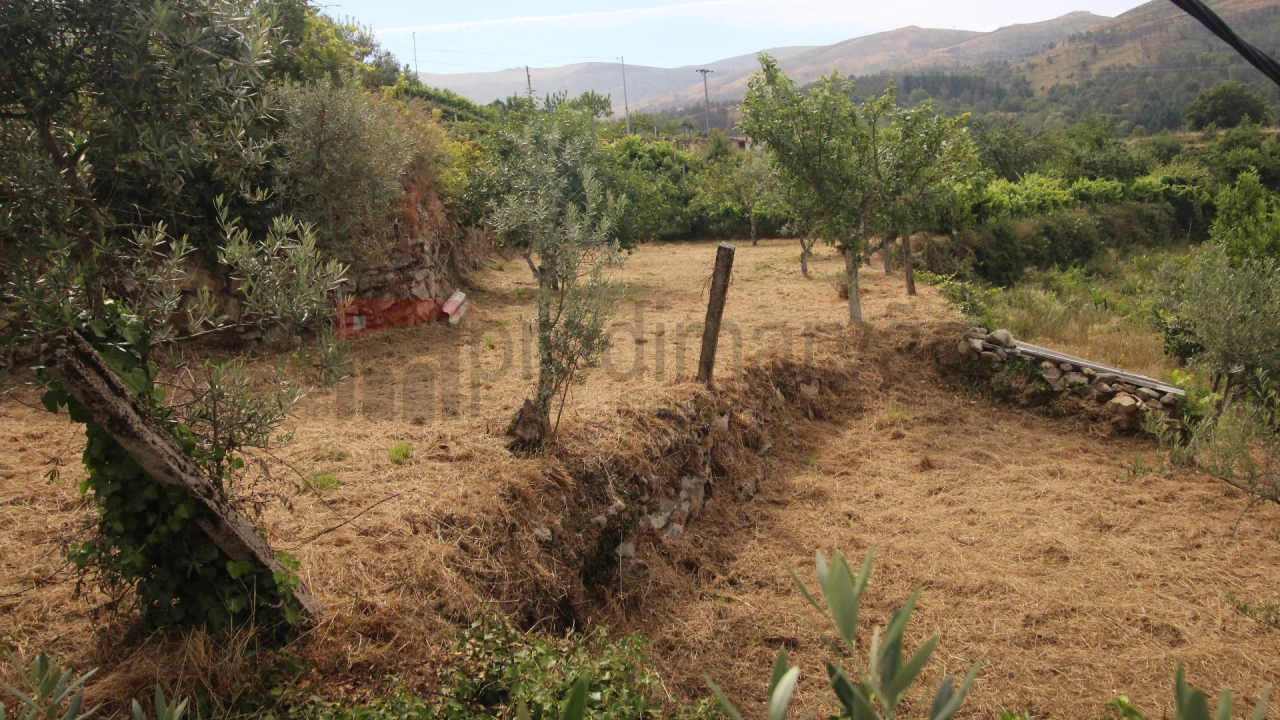 Terreno Agricola ou Rústico para Venda em Gouveia (São Pedro e São Julião) Foto 6