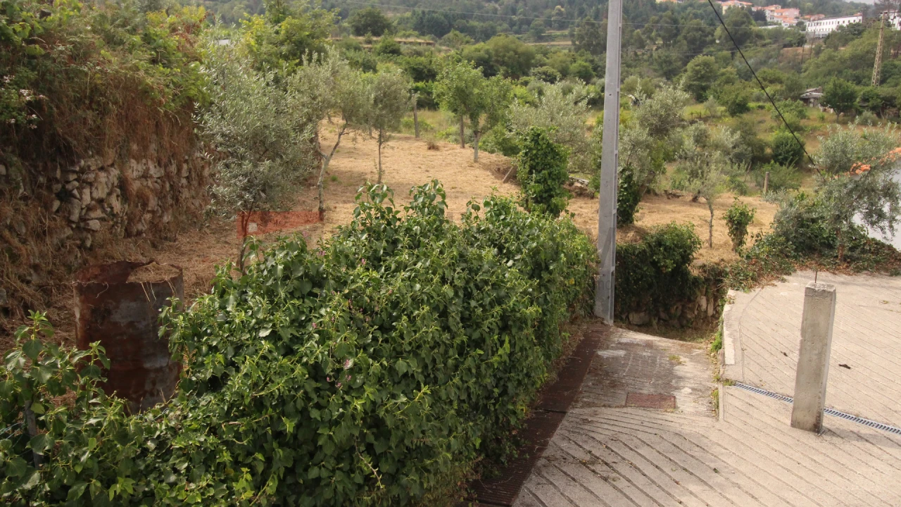 Terreno Agricola ou Rústico para Venda em Gouveia (São Pedro e São Julião) Foto 3