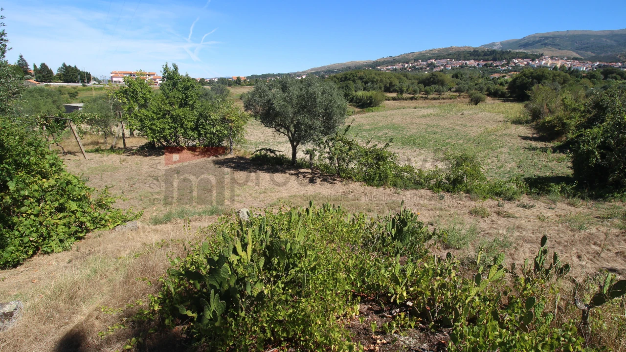 Quinta T3 para Venda em Gouveia (São Pedro e São Julião) Foto 7