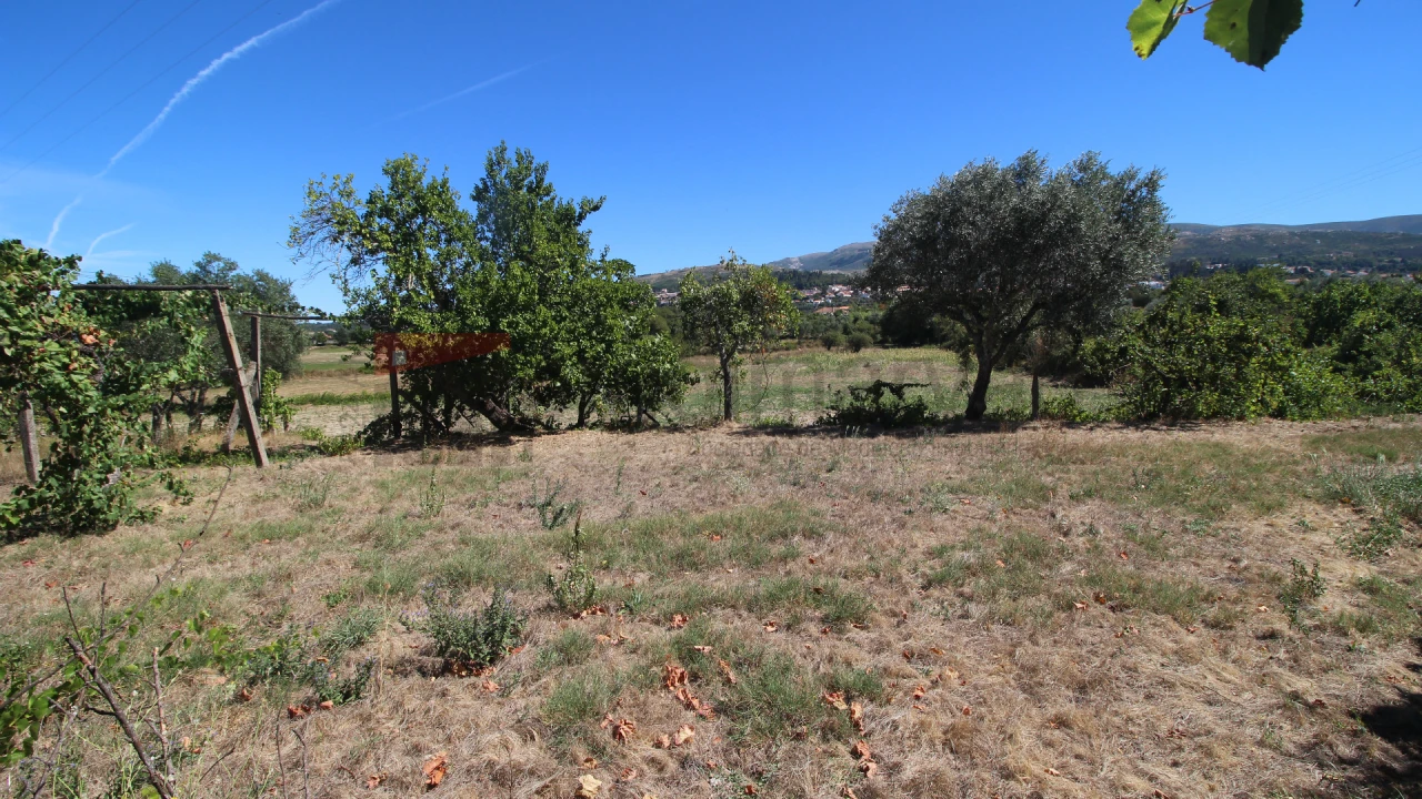 Quinta T3 para Venda em Gouveia (São Pedro e São Julião) Foto 6