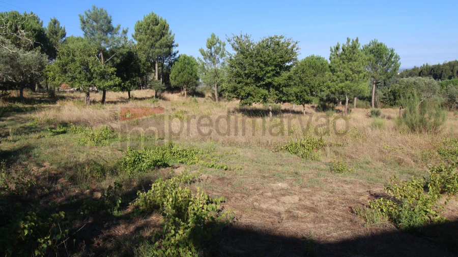 Quinta T3 para Venda em Gouveia (São Pedro e São Julião) Foto 10