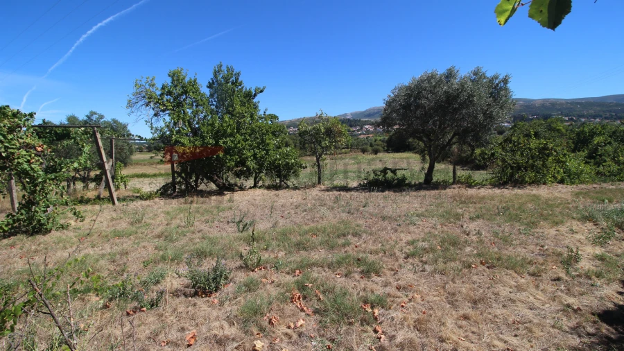 Quinta T3 para Venda em Gouveia (São Pedro e São Julião) Foto 6