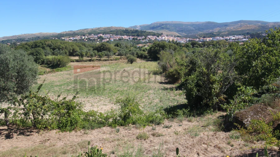 Quinta T3 para Venda em Gouveia (São Pedro e São Julião) Foto 1