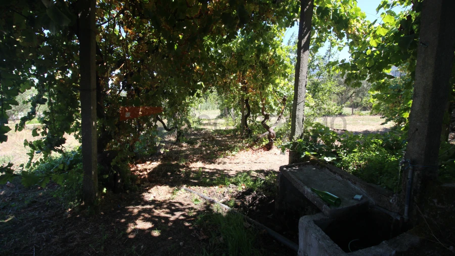 Quinta T3 para Venda em Gouveia (São Pedro e São Julião) Foto 5