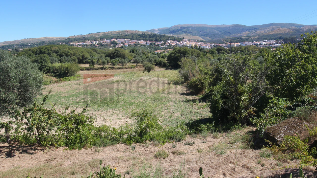 Quinta T3 para Venda em Gouveia (São Pedro e São Julião) Foto 1