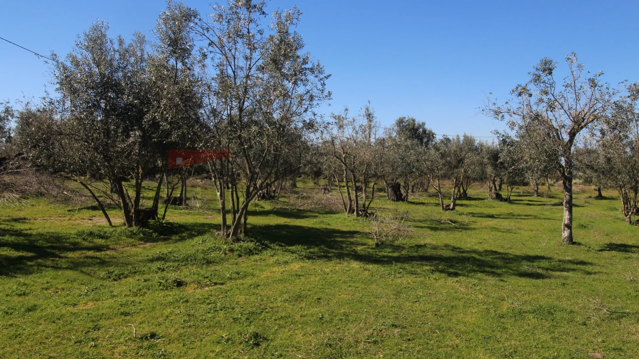 Quinta T0 para Venda em Moimenta da Serra e Vinhó Foto 7