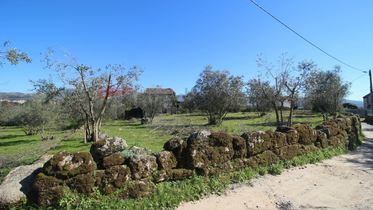 Quinta T0 para Venda em Moimenta da Serra e Vinhó Foto 9