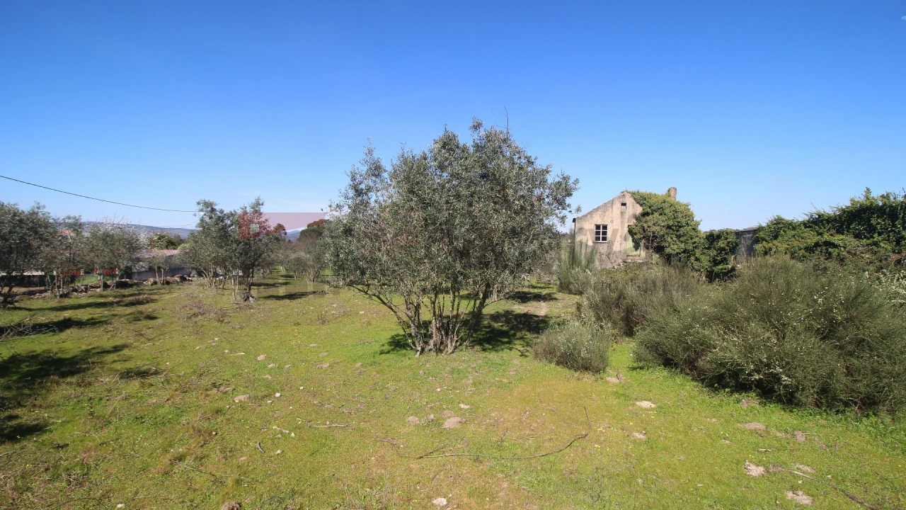 Quinta T0 para Venda em Moimenta da Serra e Vinhó Foto 3