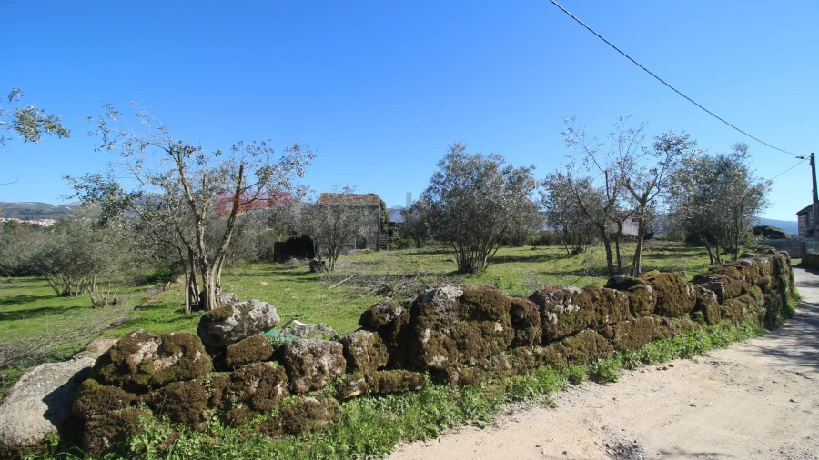 Quinta T0 para Venda em Moimenta da Serra e Vinhó Foto 9