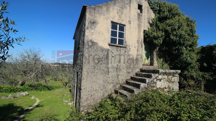 Quinta T0 para Venda em Moimenta da Serra e Vinhó Foto 4