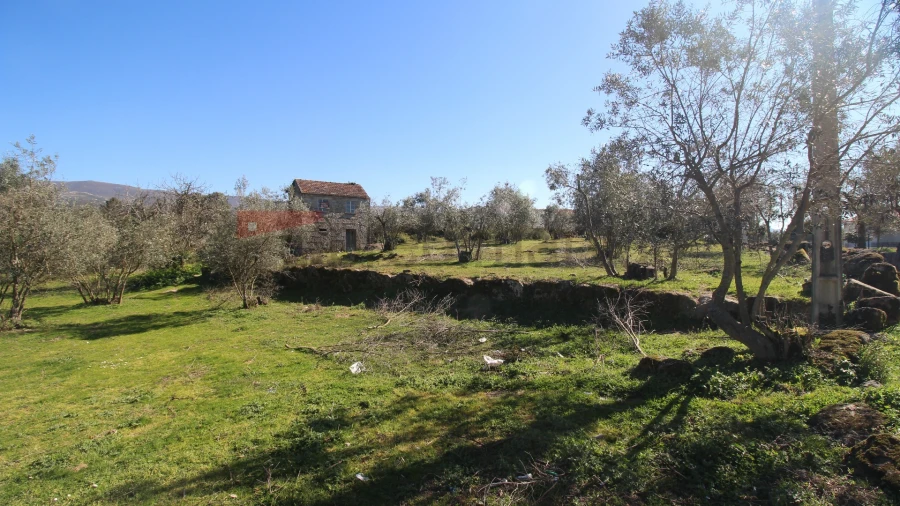 Quinta T0 para Venda em Moimenta da Serra e Vinhó Foto 8