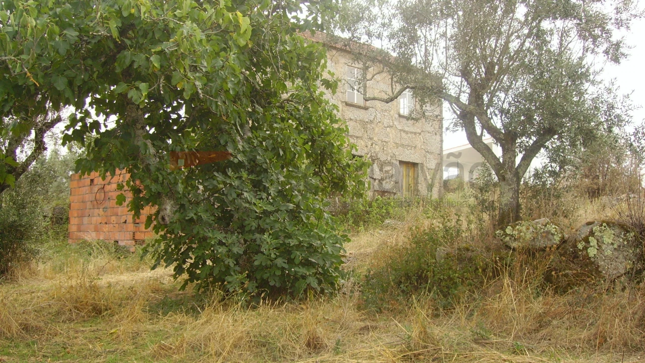 Quinta T0 para Venda em Moimenta da Serra e Vinhó Foto 2