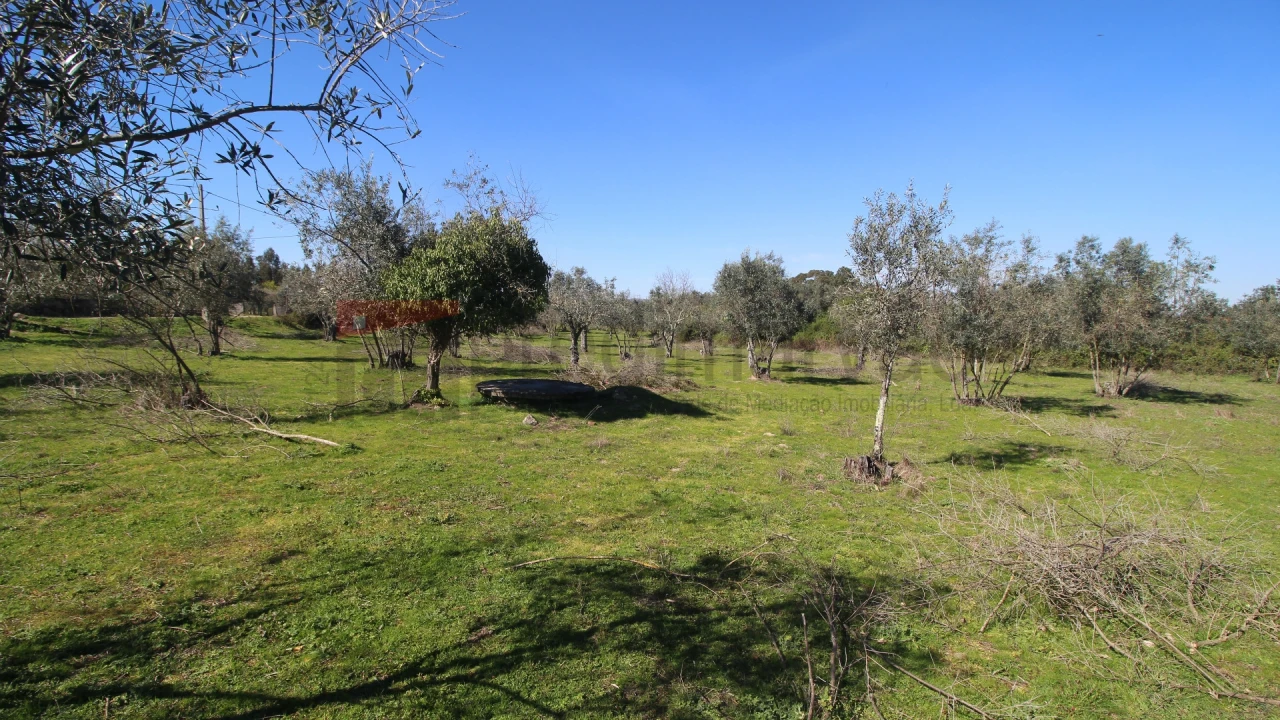 Quinta T0 para Venda em Moimenta da Serra e Vinhó Foto 6