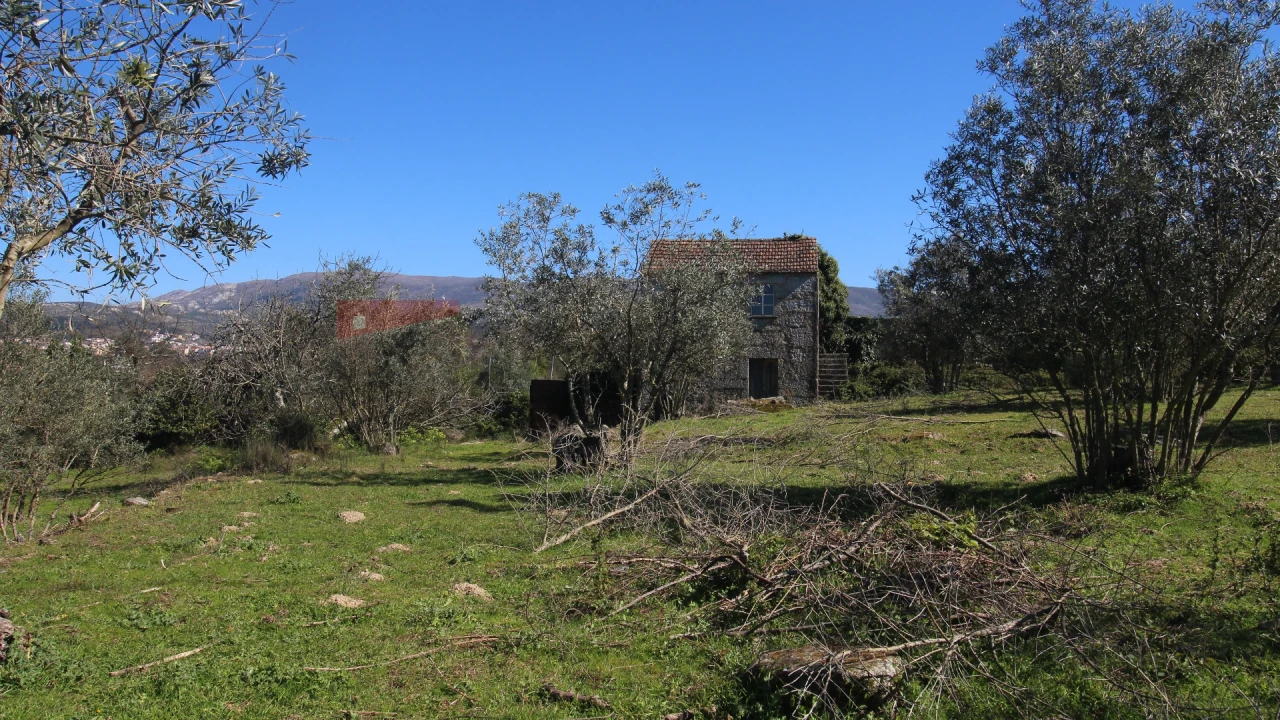 Quinta T0 para Venda em Moimenta da Serra e Vinhó Foto 1