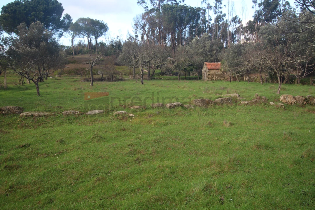 Terreno Agricola ou Rústico para Venda em Nespereira Foto 1
